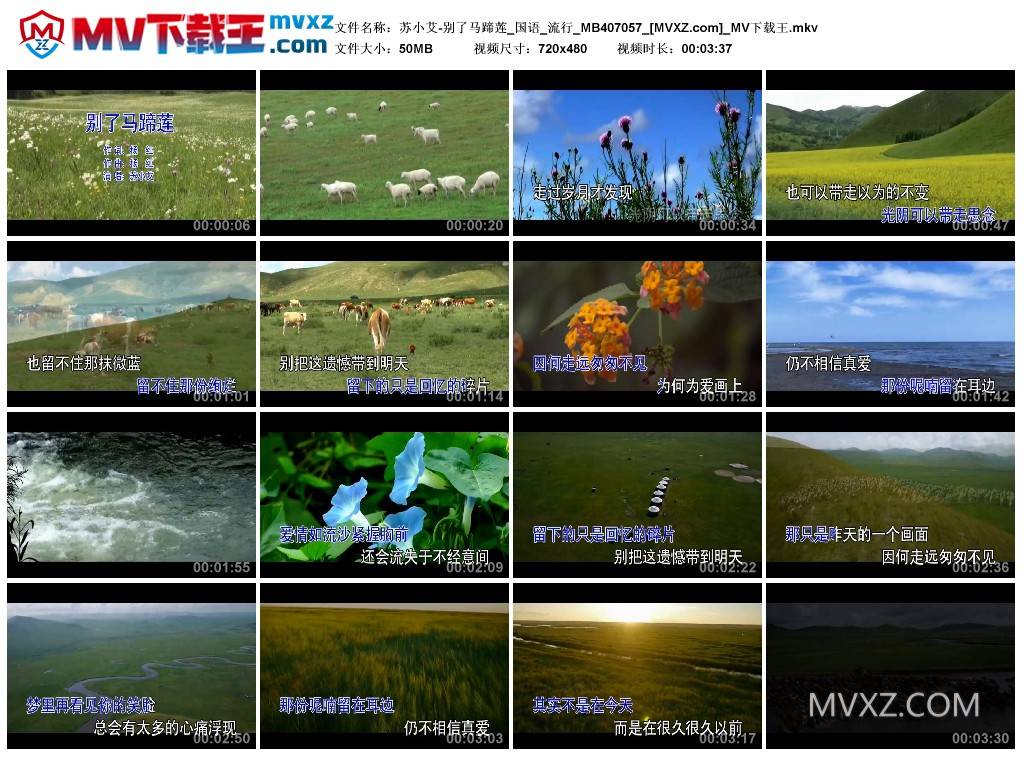 苏小艾-别了马蹄莲_国语_流行_MB407057